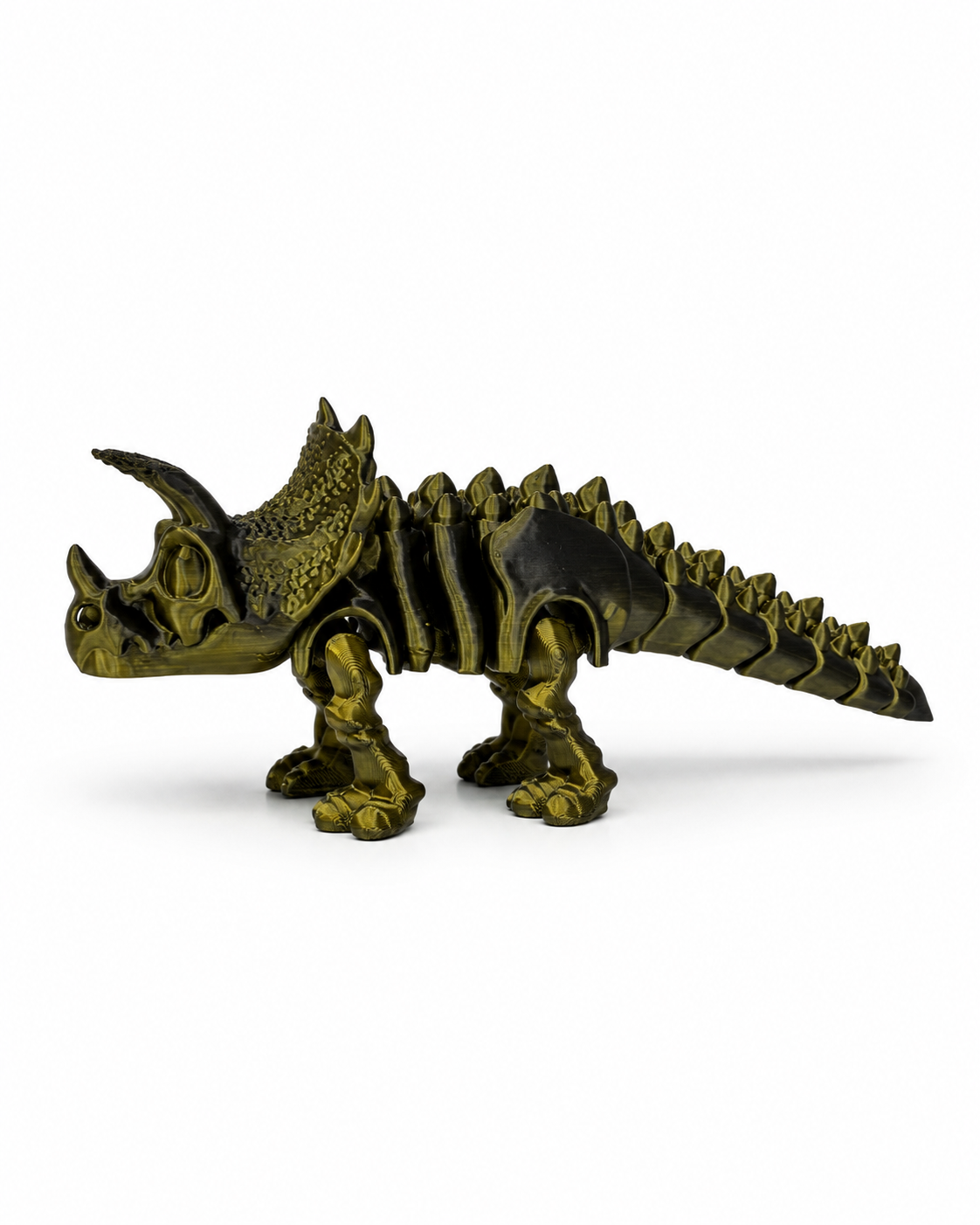 Triceratops Esqueleto Articulado 3D